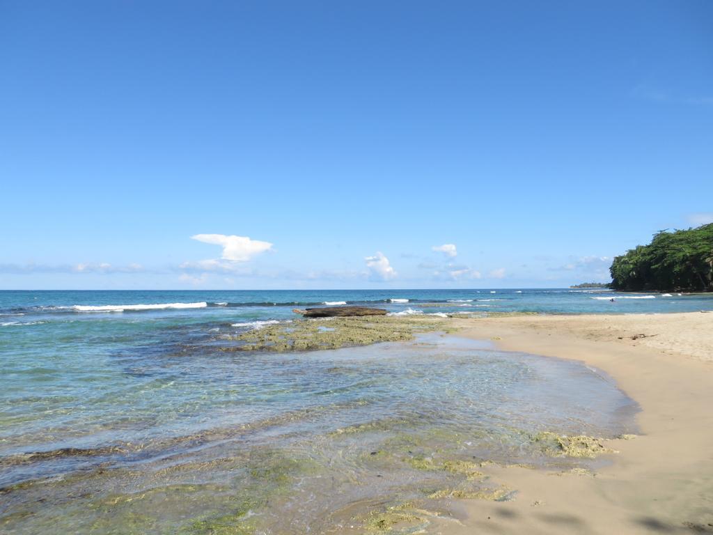 La Kukula Lodge Puerto Viejo de Talamanca エクステリア 写真