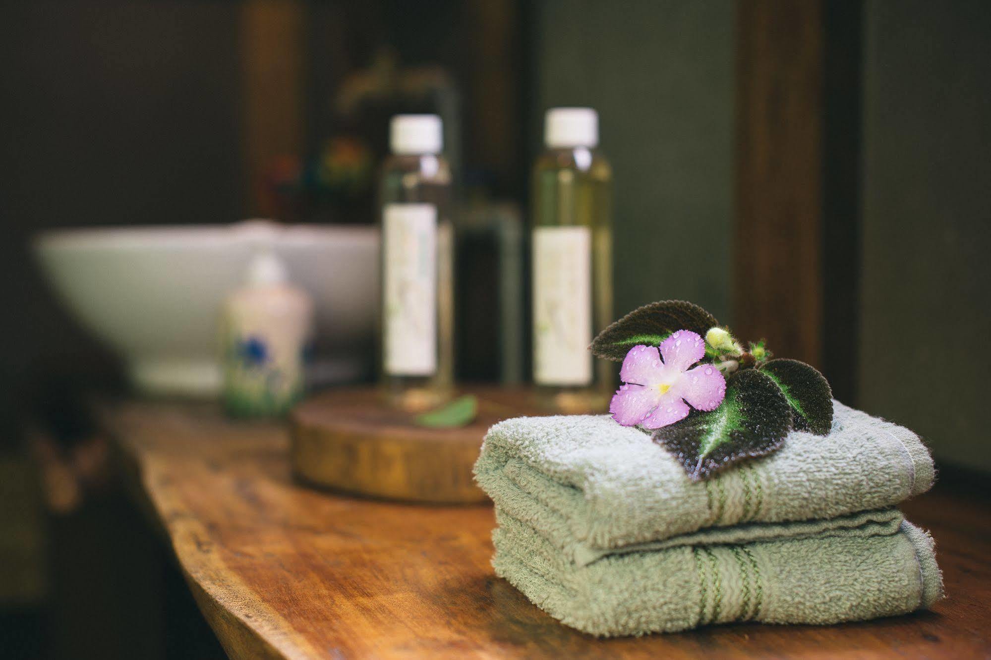 La Kukula Lodge Puerto Viejo de Talamanca エクステリア 写真