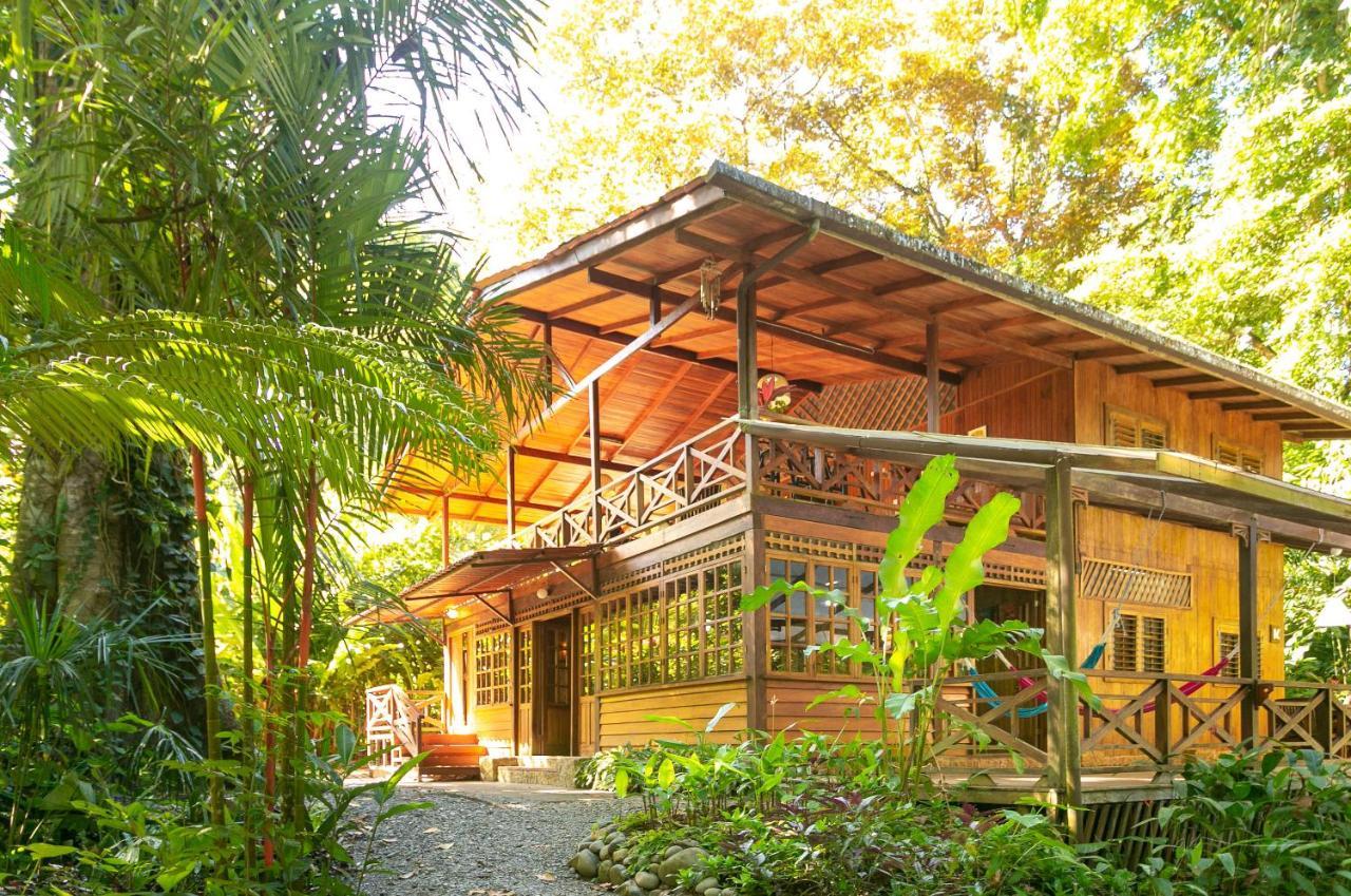 La Kukula Lodge Puerto Viejo de Talamanca エクステリア 写真
