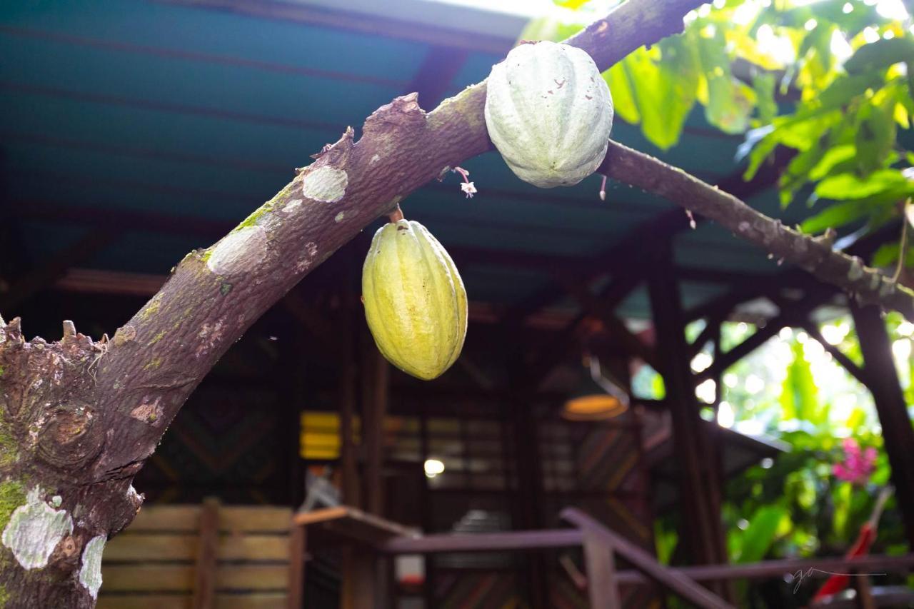 La Kukula Lodge Puerto Viejo de Talamanca エクステリア 写真